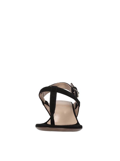  RELAC | LAC004 SUEDENERO